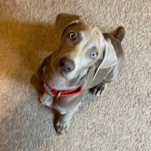 Meet your Posher, Lydia